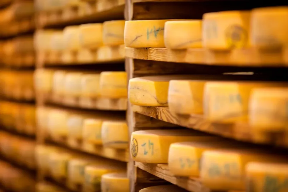 Fromagerie fromages de terroir à Vauréal 